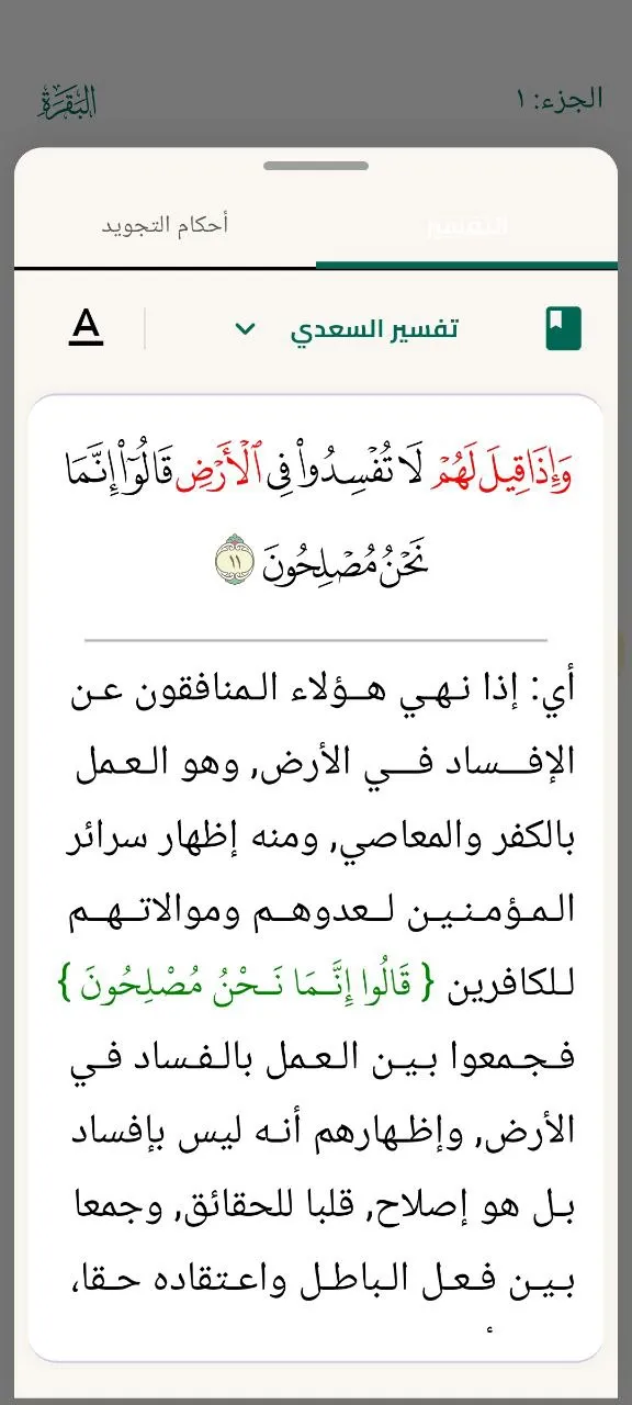 RafiqQuran12